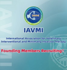 IAVMI- International Association for Veterinary Interventional and Minimally Invasive Therapy Founding Members Recruiting!