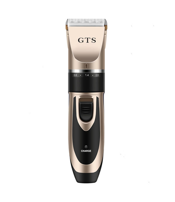 GTS - P1