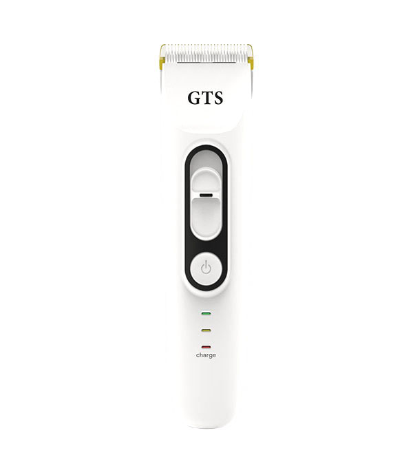GTS - 1602