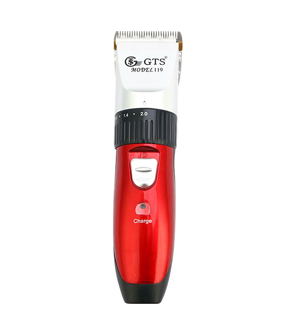 GTS - 119