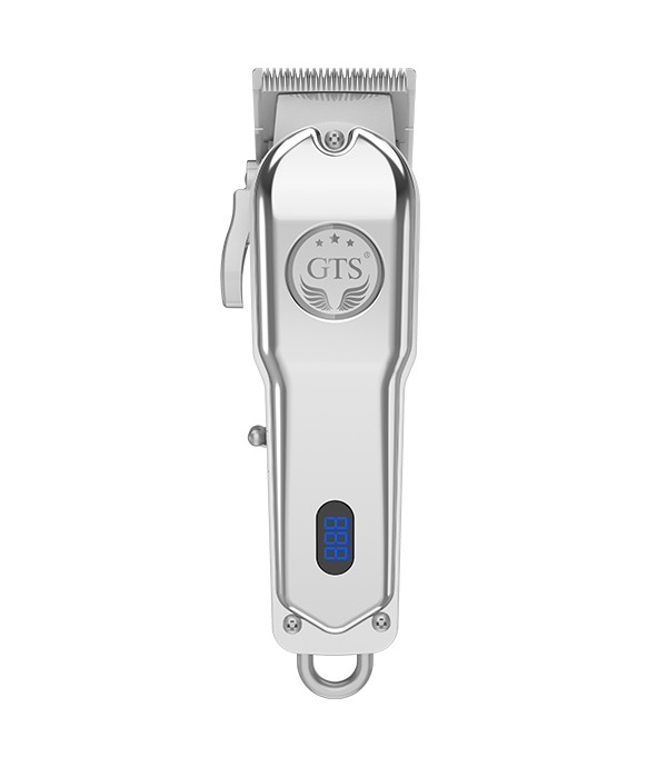 GTS - 6019