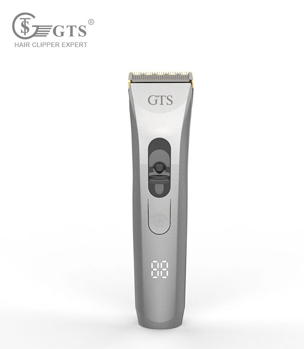 GTS-6006