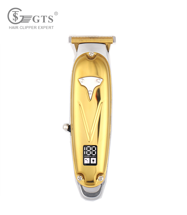 GTS-812