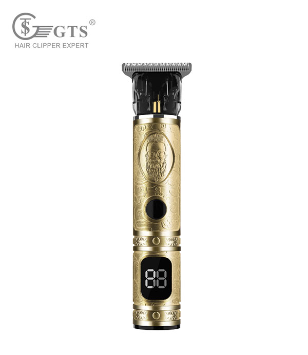 GTS-1019